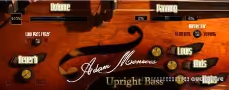 Adam Monroe Music Upright bass v1.3 [KONTAKT]