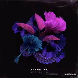 Arthouse Acoustics GloFi: RnB and Hip Hop [WAV]
