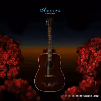 Ayoludo Aurora Loop Kit [WAV]