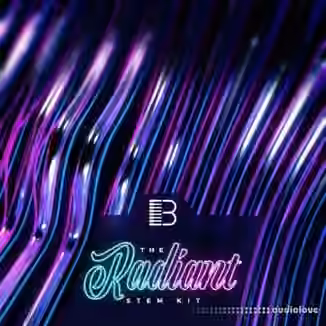 Big Citi Loops Radiant Loop Pack Vol.2 [WAV]