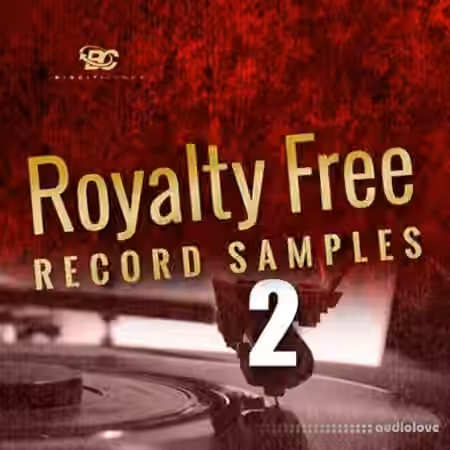 Big Citi Loops Royalty-Free Record Samples Part 2 [WAV]
