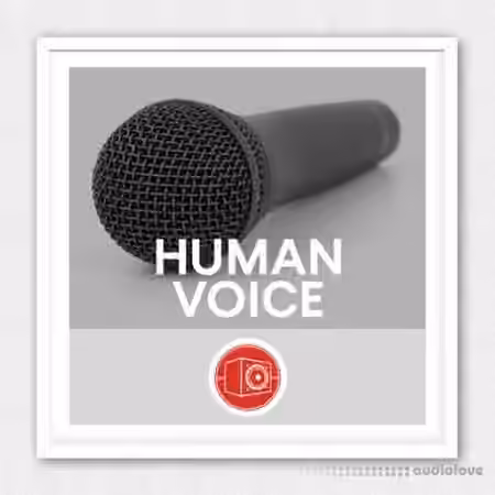 Big Room Sound Human Voice [WAV]
