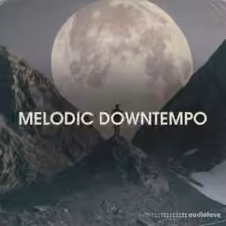 Bingoshakerz Melodic Downtempo [WAV]