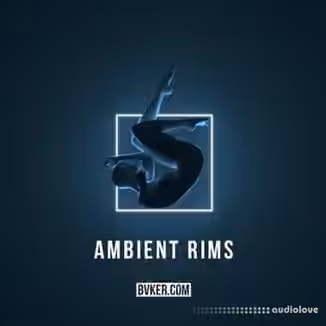BVKER Ambient Rimshots [WAV]