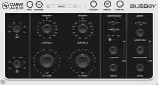 Carve Audio Busboy v1.0.11 [WiN]