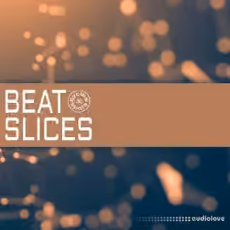Cycles & Spots Beat Slices [WAV]