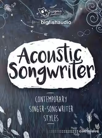 Dieguis Productions Acoustic Songwriter [KONTAKT, MULTiFORMAT]
