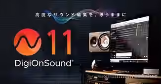DigiOn DigiOnSound 11 v1.0.8 Regged [WiN]
