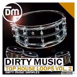 Dirty Music Top House Loops Vol. 2 [WAV]