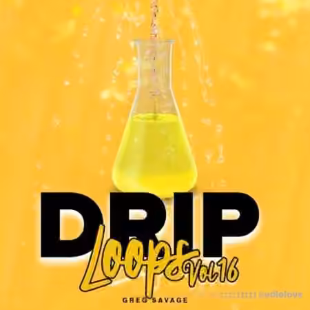 DiyMusicBiz Drip Loops Vol 16 [WAV]