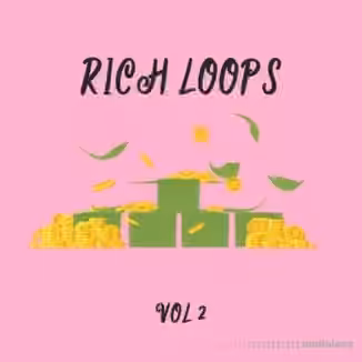 DiyMusicBiz Rich Loop Vol.2 [WAV]