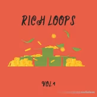 DiyMusicBiz Rich Loop Vol.4 [WAV]
