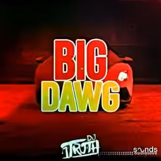 DJ 1Truth Big Dawg [WAV]