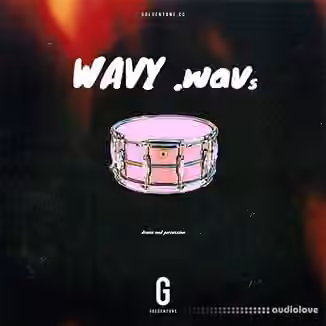 Gondentone Wavy Wavs (Drum Kit) [WAV]
