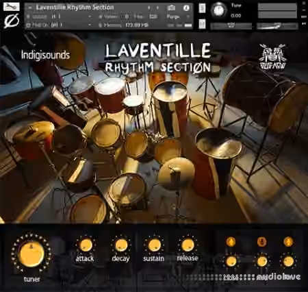 Indigisounds Laventille Rhythm Section [KONTAKT]
