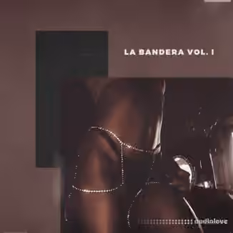 KXVI La Bandera Loop Kit [WAV]
