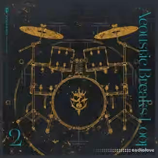 KYMOGRAPH Acoustic Breaks Loop 2 [WAV]