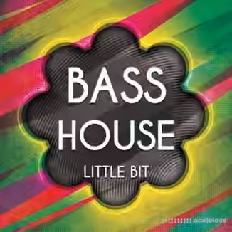 Little Bit Bass House 1 [WAV]