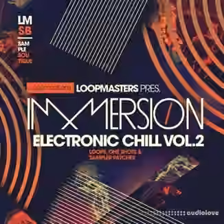 Loopmasters Immersion Electronic Chill 2 [WAV, REX]