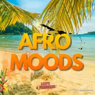Loops 4 Producers Afro Moods [WAV]
