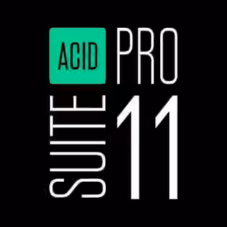 MAGIX ACID Pro 11 Suite v11.0.1.17 [WiN]