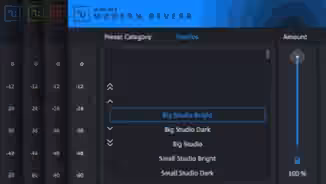 MAGIX AUDIO PLUGIN UNION 3D Reverb v1.3.28 [WiN]