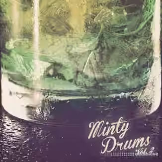 Minty Drums and Percussion Vol.2 [WAV]