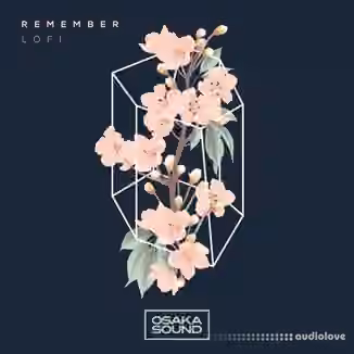 Osaka Sound Remember Lo-Fi [WAV]