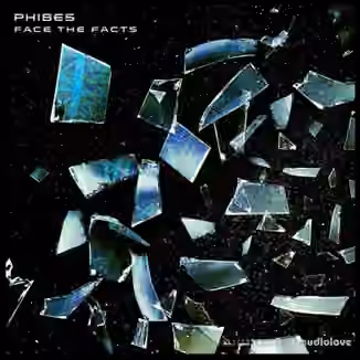 Phibes January 2023 DROP NOW LIVE! Face the Facts [WAV]
