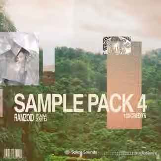 Ramzoid Sample Pack 4 [WAV]