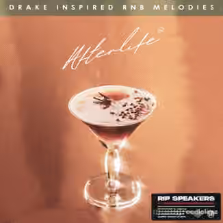 Rip Speakers Afterlife: Drake Inspired RnB Melodies [WAV]