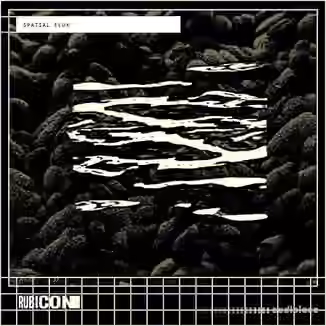 Rubicon Spatial Flux [WAV]