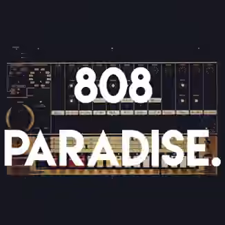S-X 808 Paradise Sample Pack [WAV]