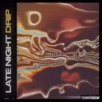 Sample Hub Late Night Drip [WAV]