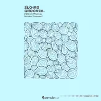 Samplestar Slo Mo Grooves [WAV]