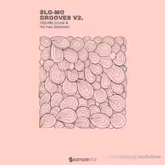 Samplestar Slo Mo Grooves V2 [WAV]