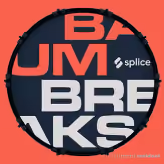 Splice Originals Baum Breaks [WAV]