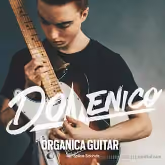 Splice Sounds DOMENICO: Organica Guitar [WAV]