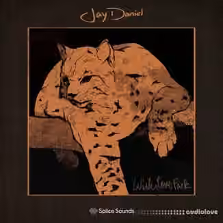 Splice Sounds Jay Daniel With Love Pack [WAV]