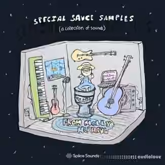 Splice Sounds Special Sauce Samples from Molly McPhaul [WAV]