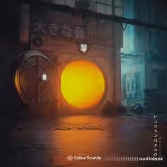 Splice Sounds X&G Sound Vault Vol.4 [WAV]