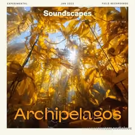 Splice Soundscapes Archipelagos [WAV]