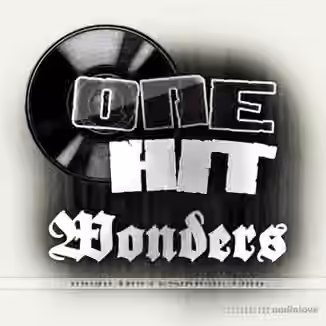 Uneek Sounds One Hit Wonders [MULTiFORMAT]