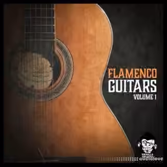 Vanilla Groove Studios Flamenco Guitars Vol.1 [WAV]