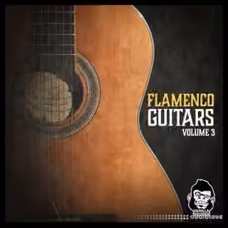 Vanilla Groove Studios Flamenco Guitars Vol.3 [WAV]