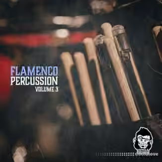 Vanilla Groove Studios Flamenco Percussion Vol.3 [WAV]