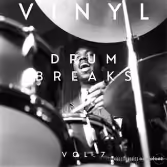 Vinyl Zen Vinyl Drum Breaks Vol.7 [WAV]