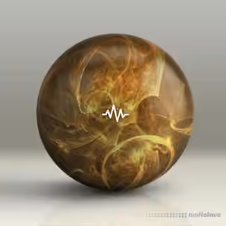 WavSupply Humblebee Saga (Loop Kit) [WAV]