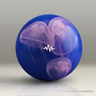 WavSupply Manso JellyFish (Dancehall Drum Kit) [WAV]