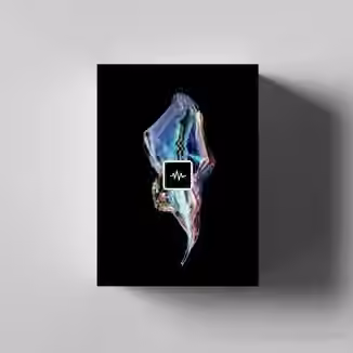 WavSupply Manso Mercurio (Loop Kit) [WAV]